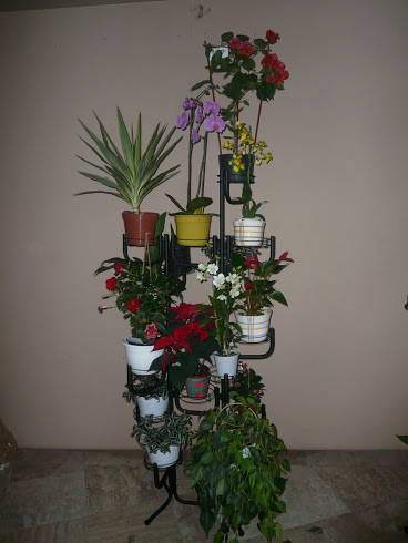 virágtarto-15-virággal